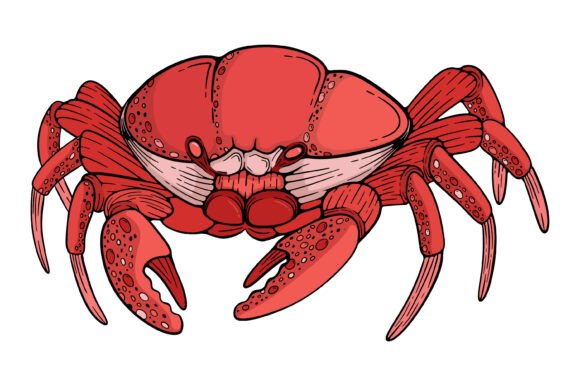 Red Crab Sea Monster Vintage Design Review